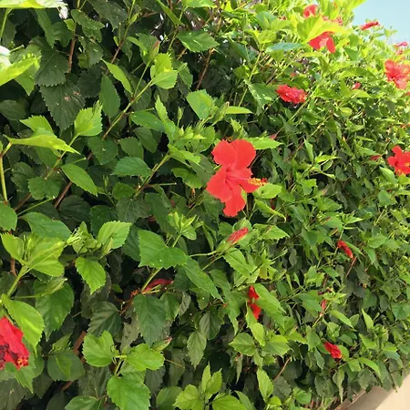 Panorama - Stunning Views In With Hot Tub, Pool, Garden קוקליה