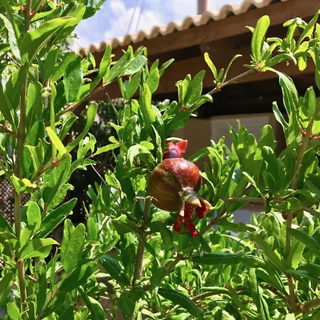 וילה Panorama - Stunning Views In With Hot Tub, Pool, Garden *