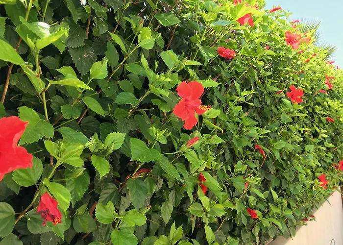 Panorama - Stunning Views In With Hot Tub, Pool, Garden Kouklia