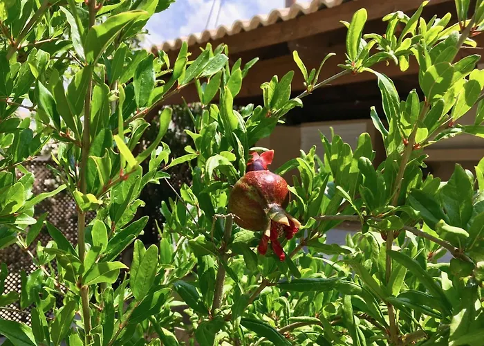 Villa Panorama - Stunning Views In With Hot Tub, Pool, Garden *